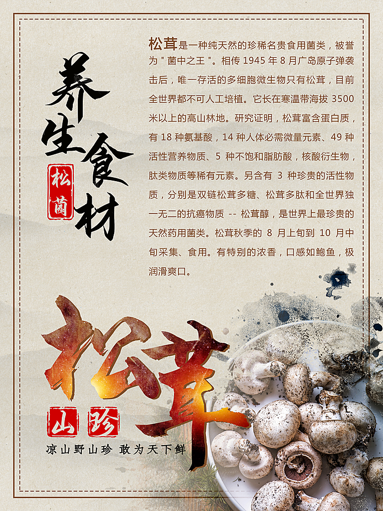 养生食材松茸宣传