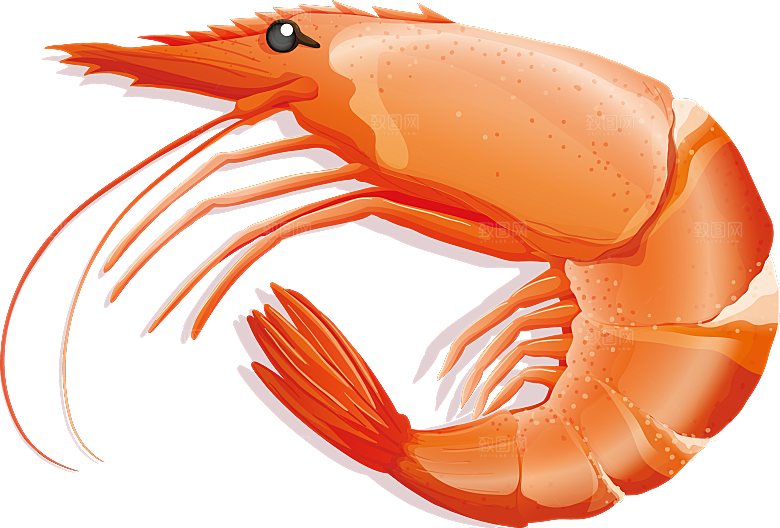 手绘动物海鲜鱼类螃蟹虾食物插画元素素材