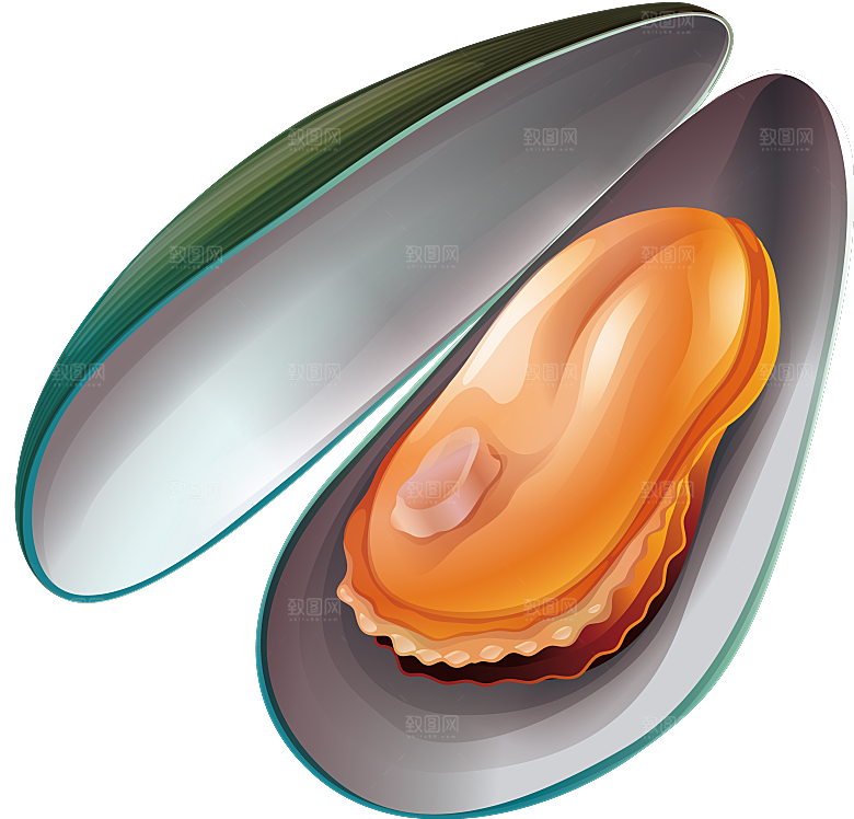 手绘动物海鲜鱼类螃蟹虾食物插画素材元素