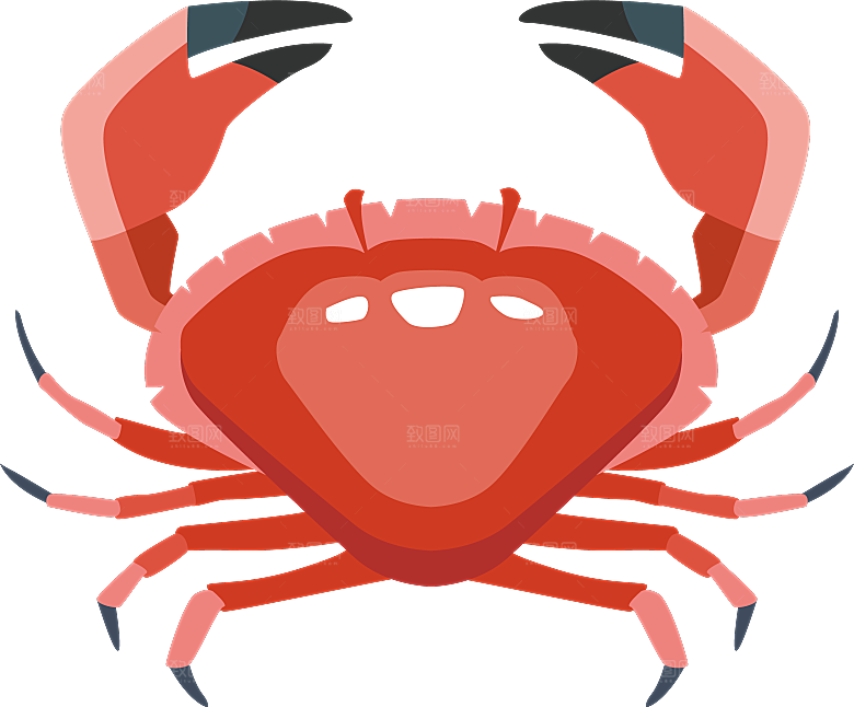 手绘动物海鲜鱼类螃蟹虾食物插画素材元素