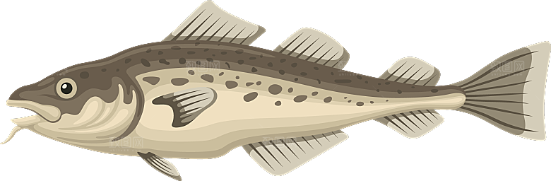 手绘动物海鲜鱼类螃蟹虾 食物插画素材元素