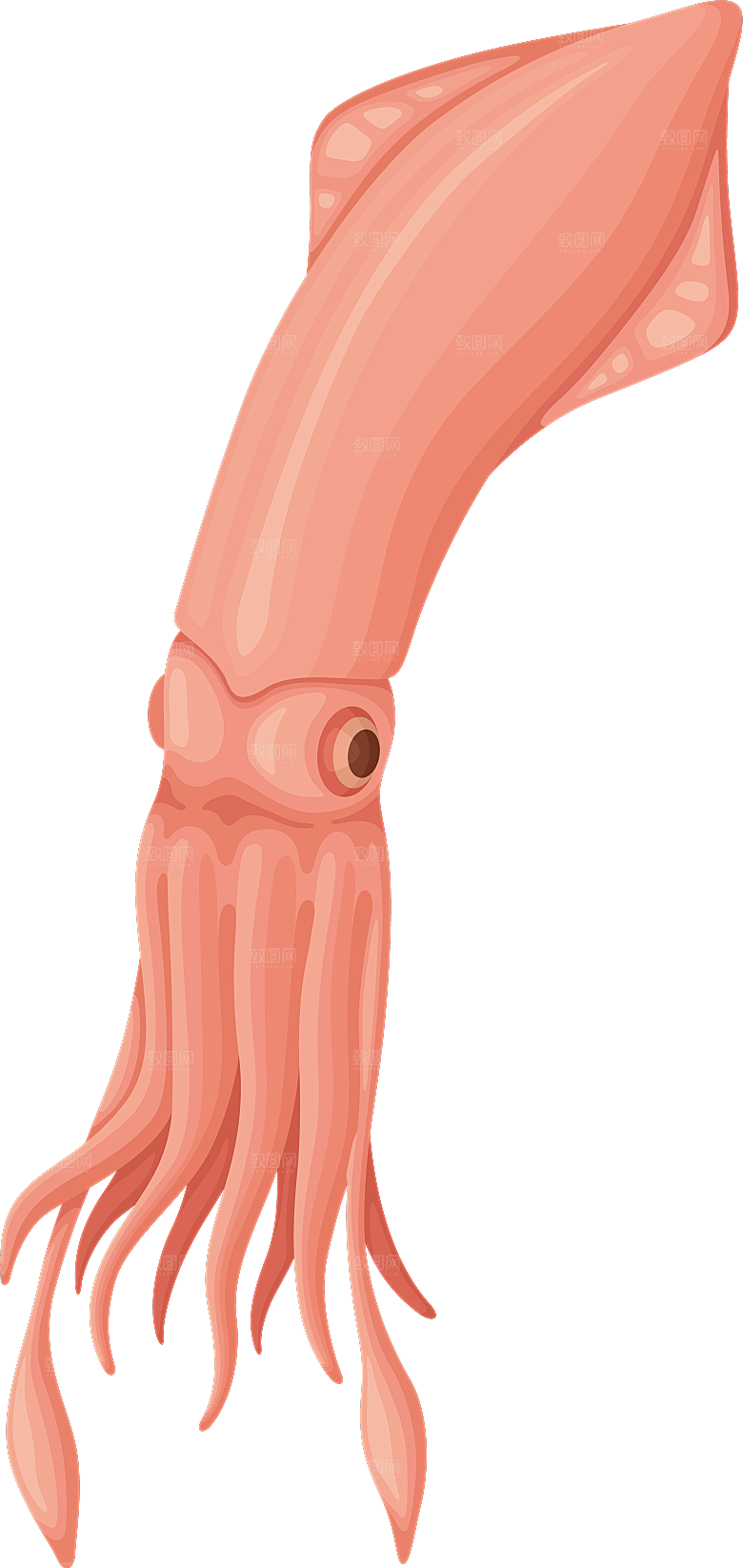 手绘动物海鲜鱼类螃蟹虾 食物插画素材元素