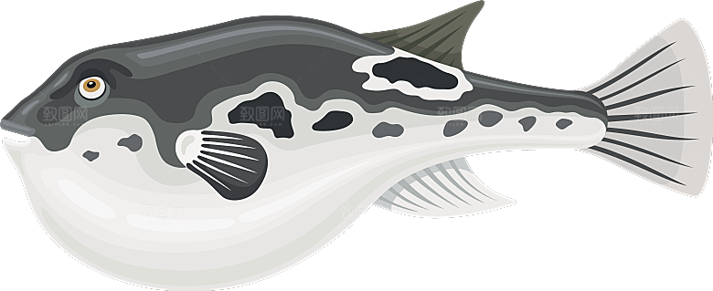 手绘动物海鲜鱼类螃蟹虾 食物插画素材元素