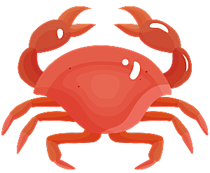 手绘动物海鲜鱼类螃蟹虾食物插画素材元素