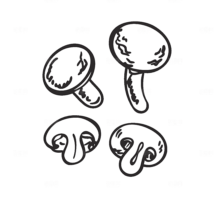 矢量香菇蘑菇素材