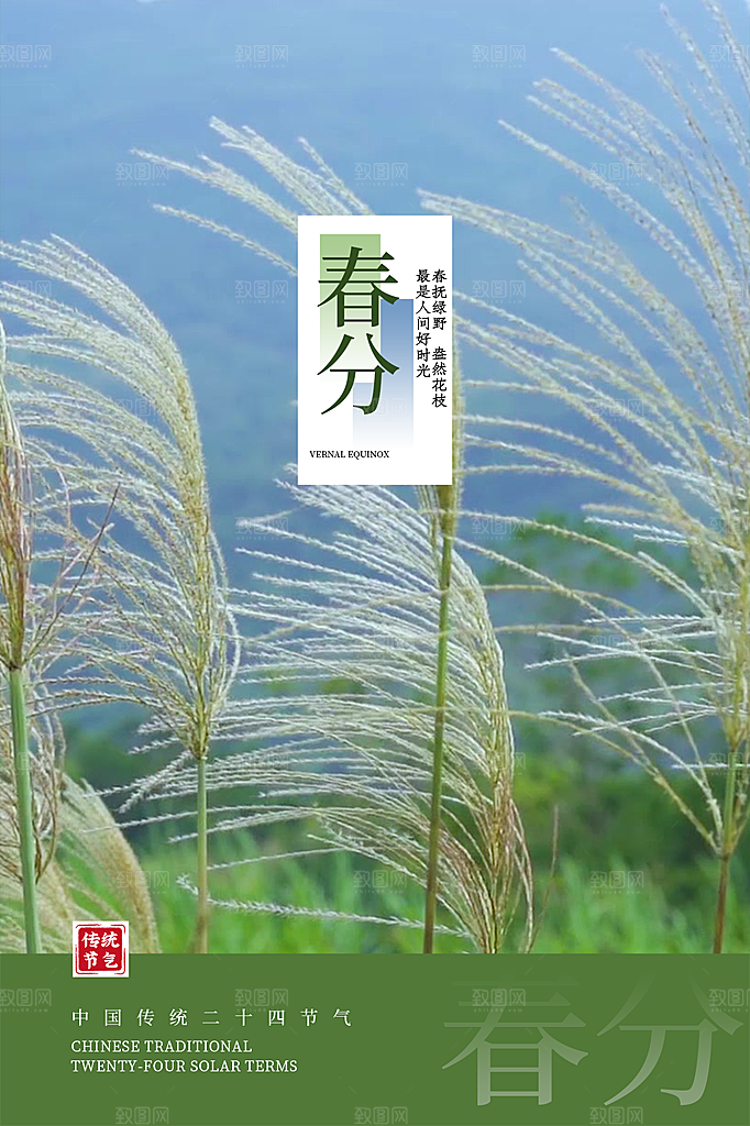 春分节气简约大气海报