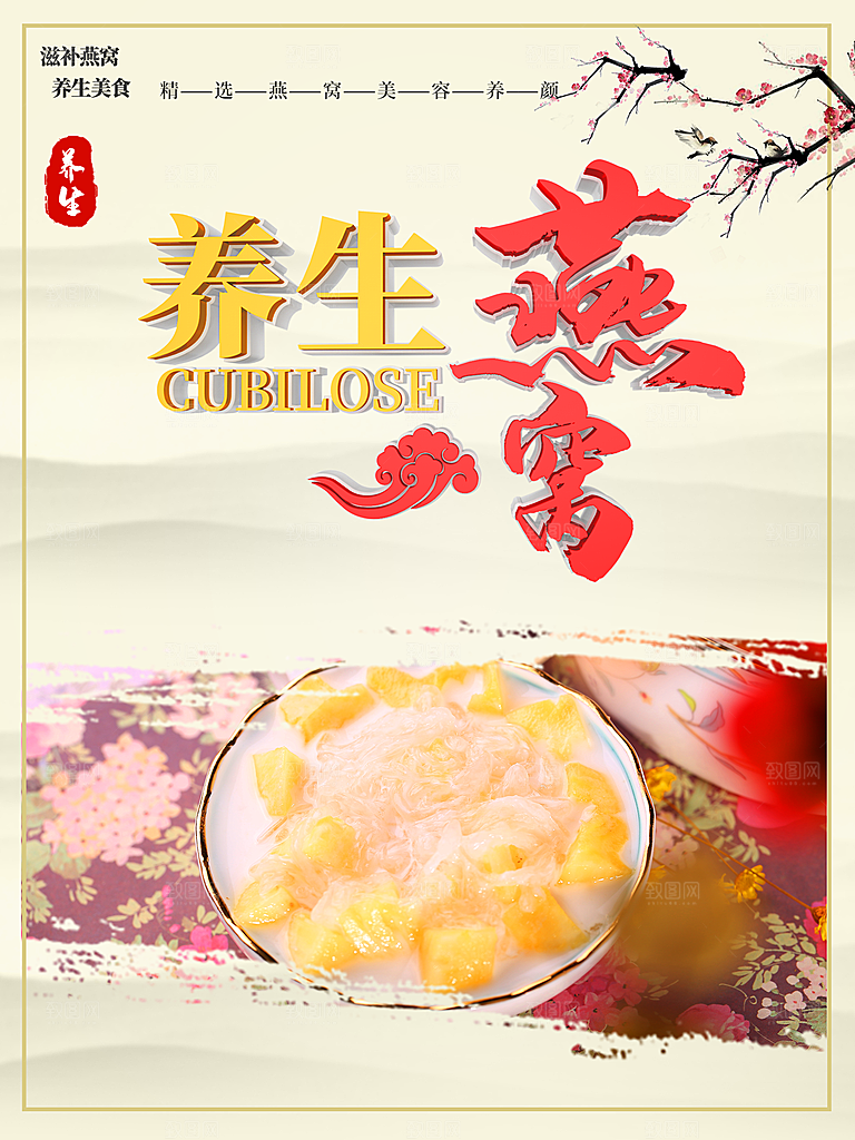 滋补美容养生燕窝