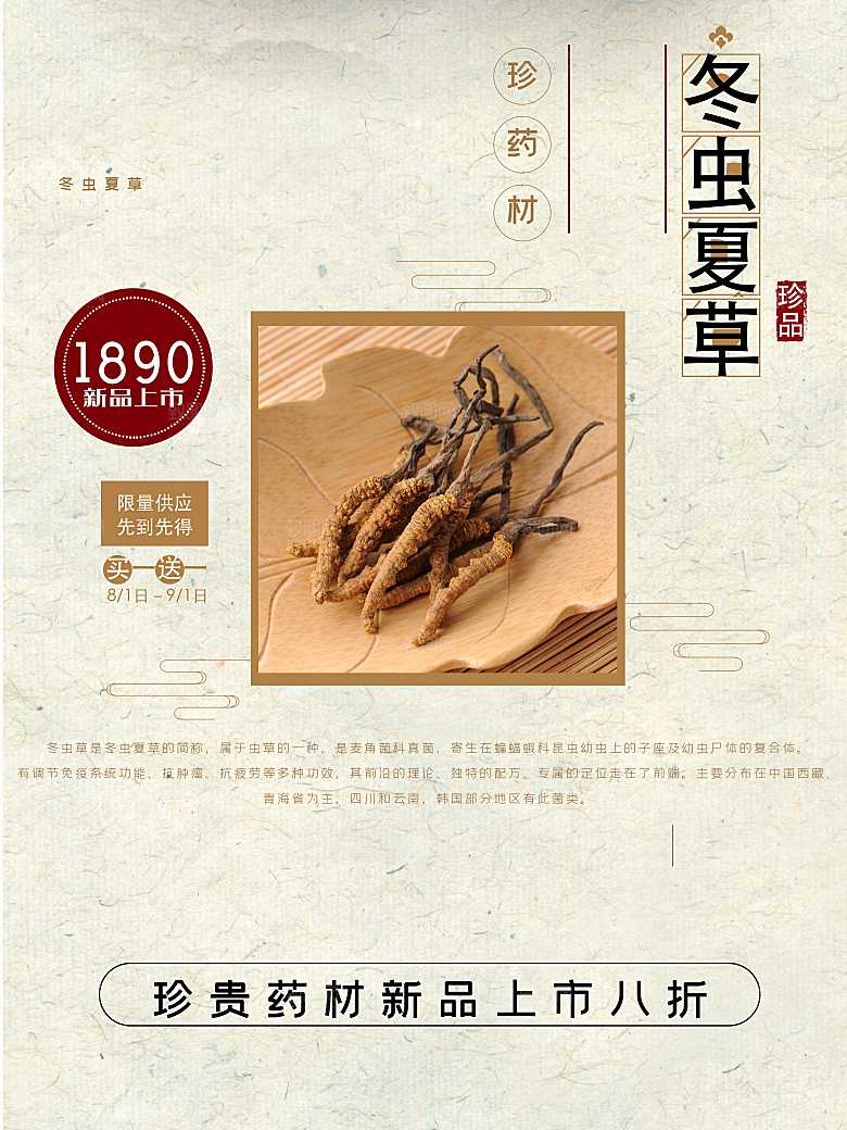 珍贵药材冬虫夏草