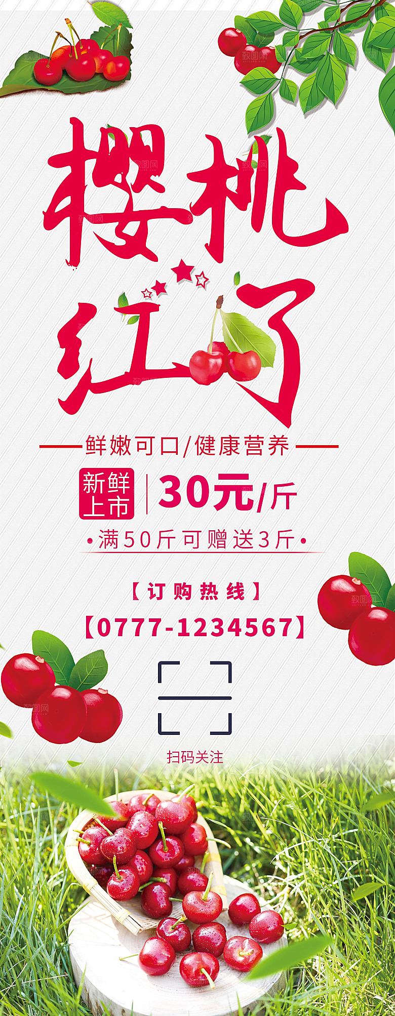 新鲜水果樱桃红了展架