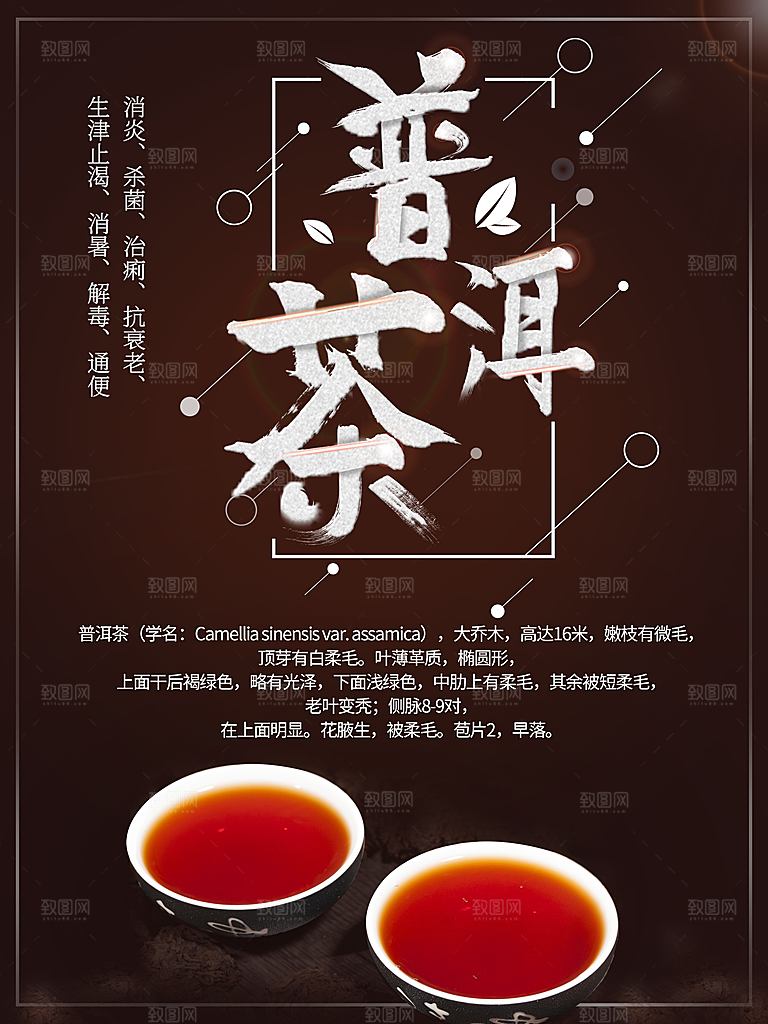 茶文化普洱茶宣传