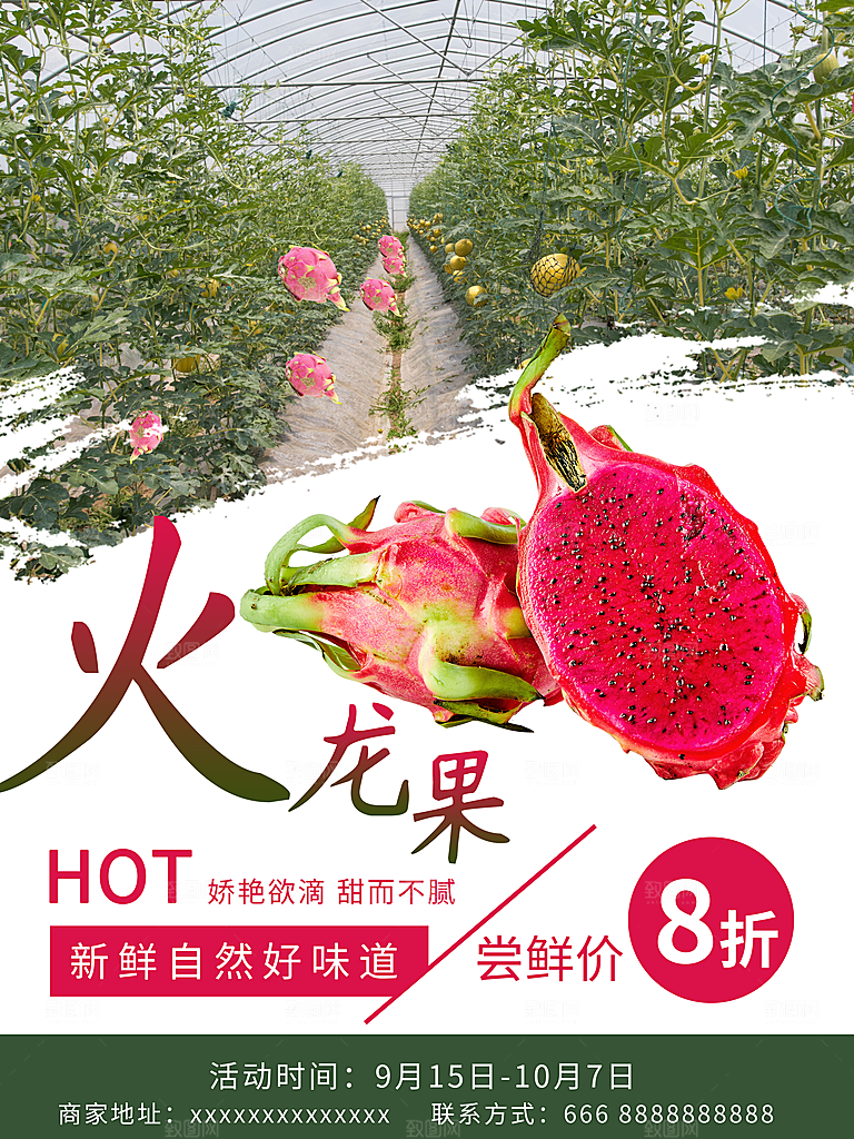 新鲜水果红心火龙果
