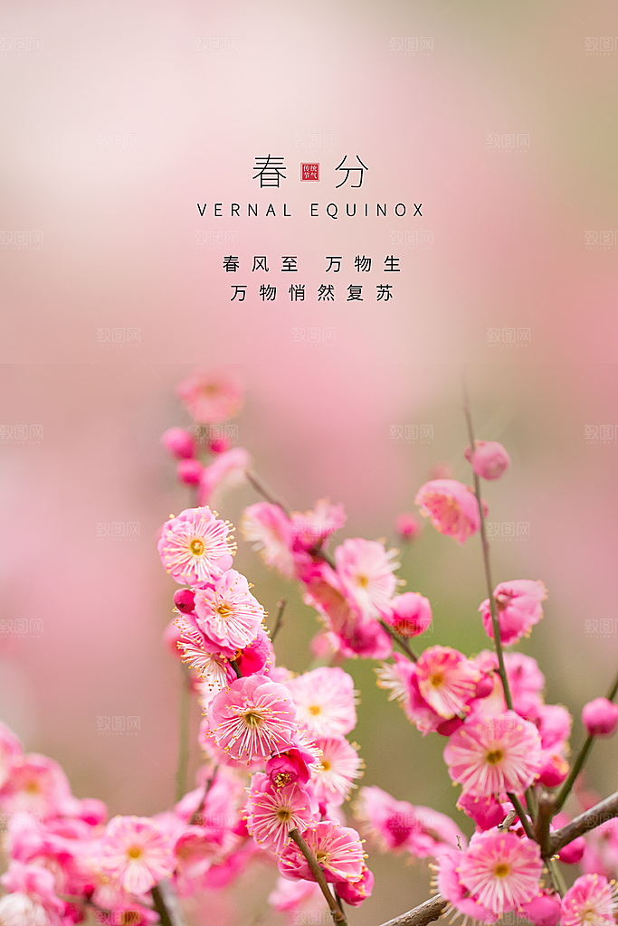 春分节气简约大气海报