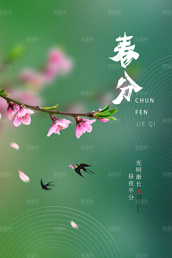 春分节气简约大气海报