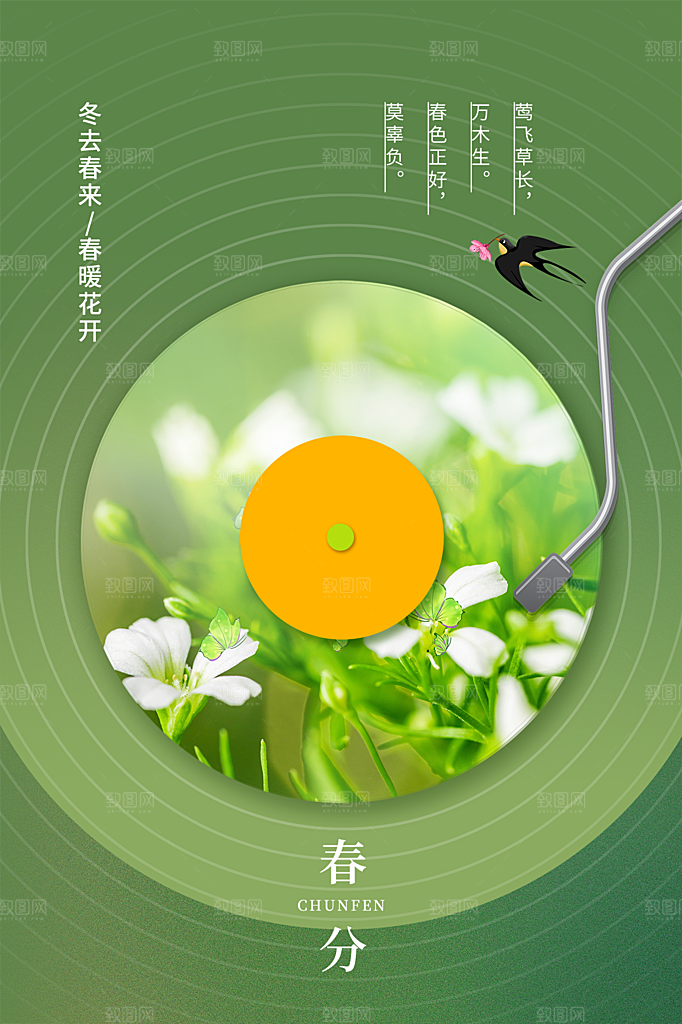 春分节气简约大气海报