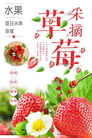 新鲜水果采摘草莓