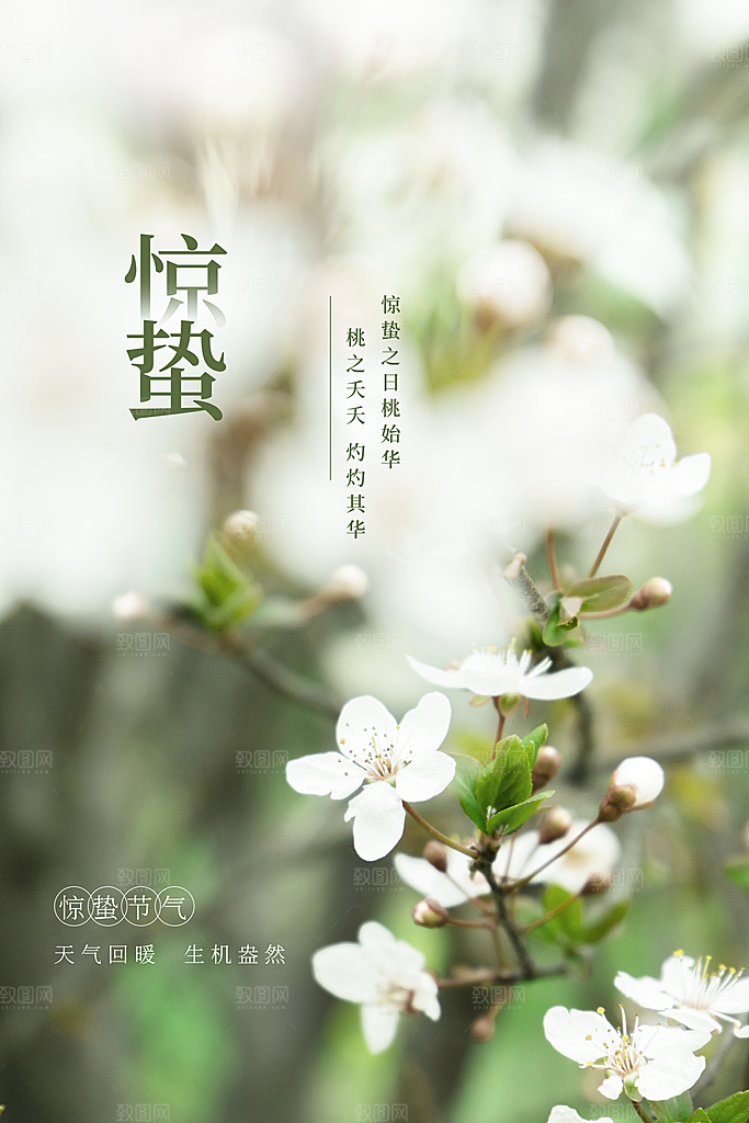 简约中国风春天春季传统节气惊蛰节气