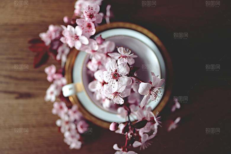 春天梅花桃花摄影素材