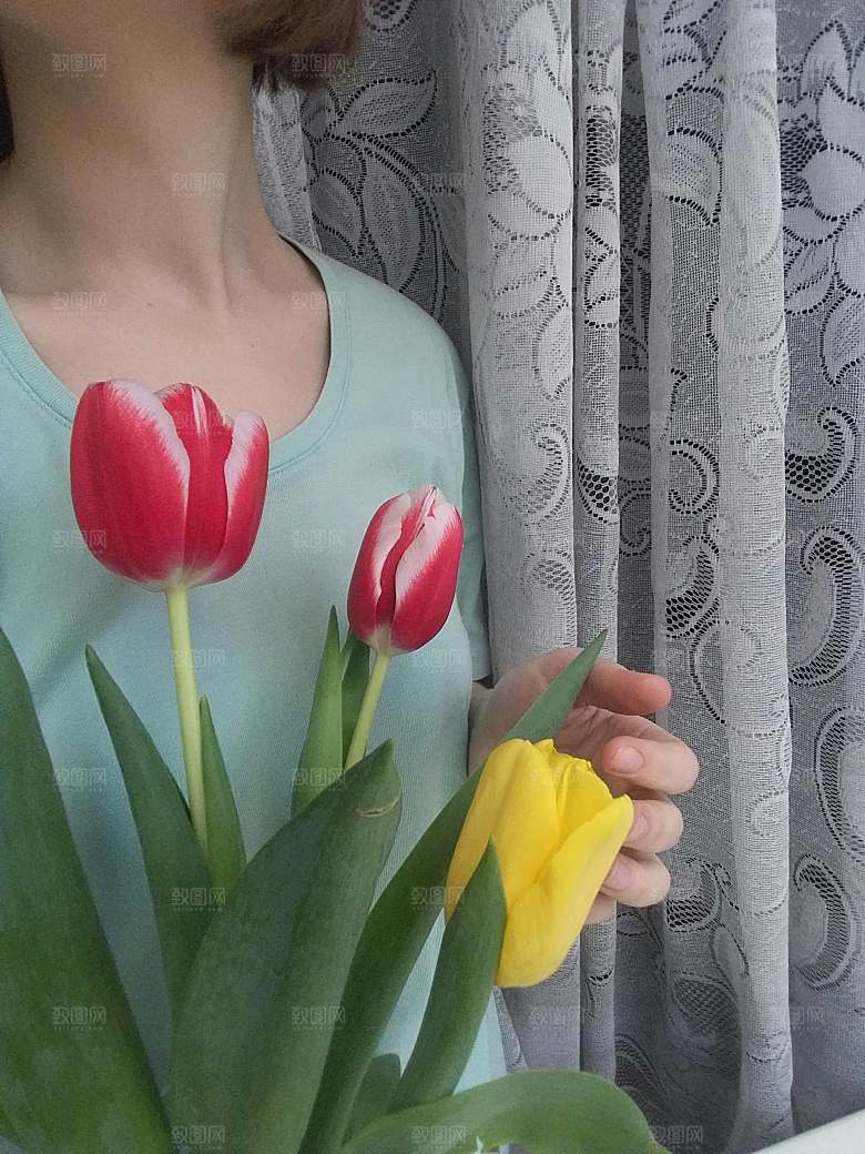 红色郁金香鲜花摄影素材