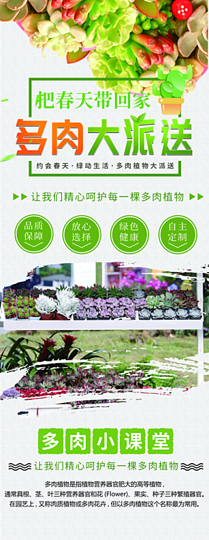 植物多肉宣传展架