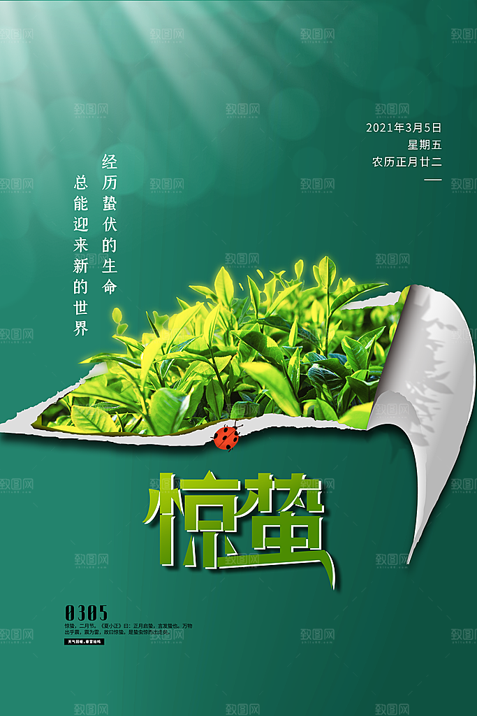 简约中国风春天春季传统节气惊蛰节气