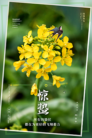 惊蛰节气宣传海报设计