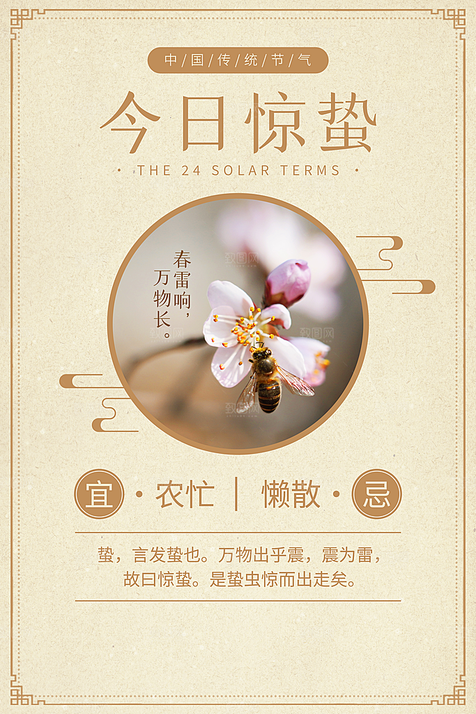 简约小清新唯美惊蛰海报