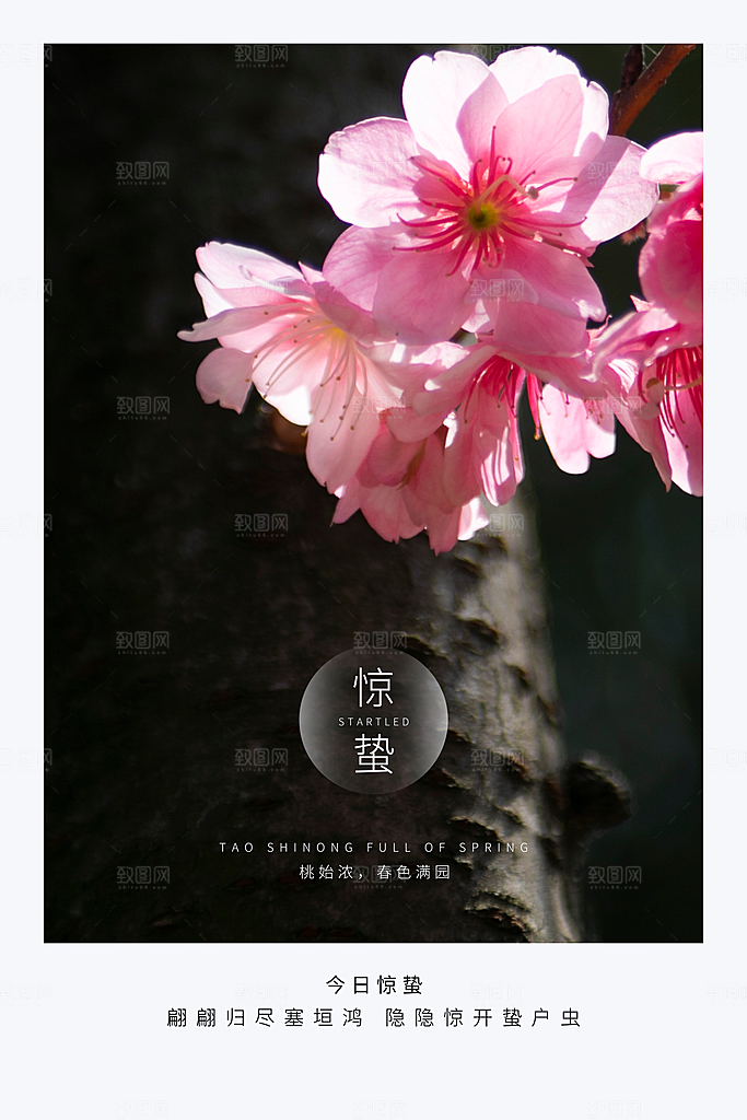 春季意境二十四节气惊蛰插画