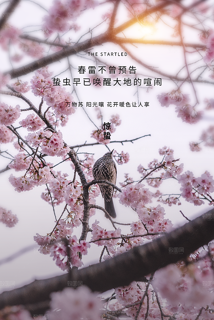 创意二十四节气中国风惊蛰节气地产海报