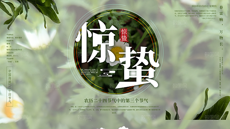 春季意境二十四节气惊蛰插画