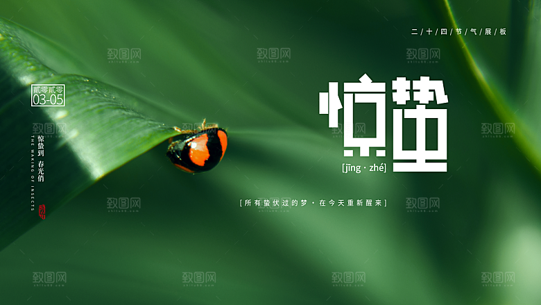 简约中国风春天春季传统节气惊蛰节气