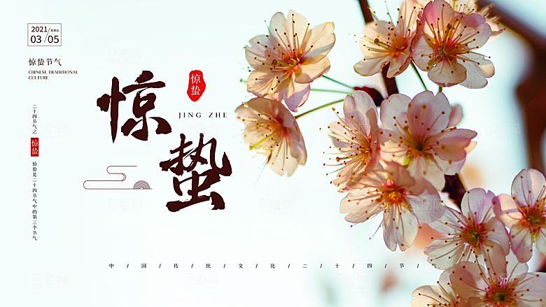 简约小清新唯美惊蛰海报