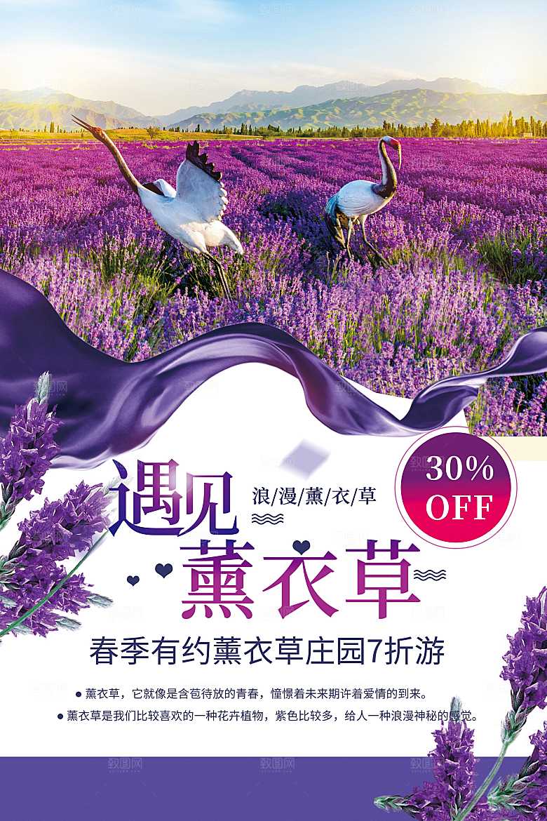 春季有约薰衣草庄园