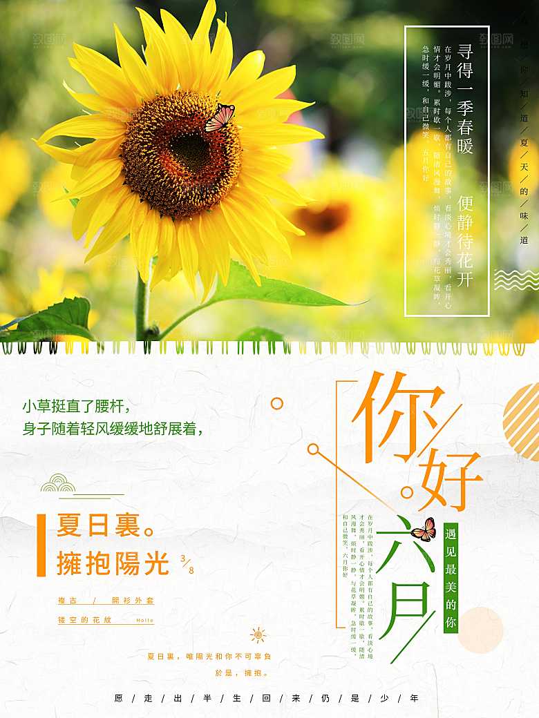 你好六月遇见最美丽的你