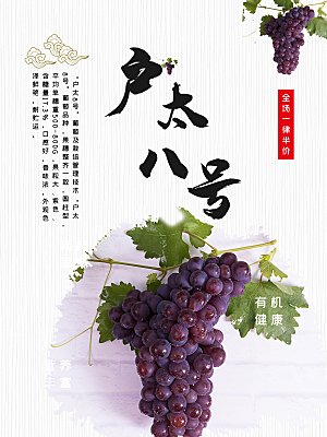 新鲜有机健康葡萄