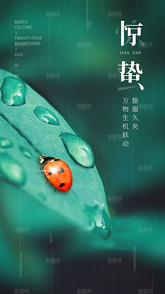 传统节日唯美中国风花鸟惊蛰海报
