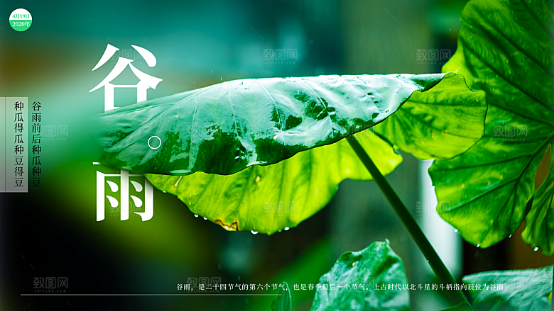 谷雨海报简洁中国传统节气