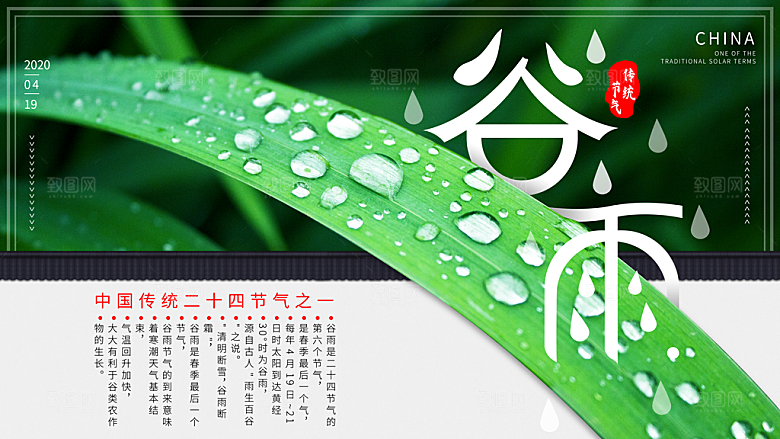 谷雨海报简洁中国传统节气