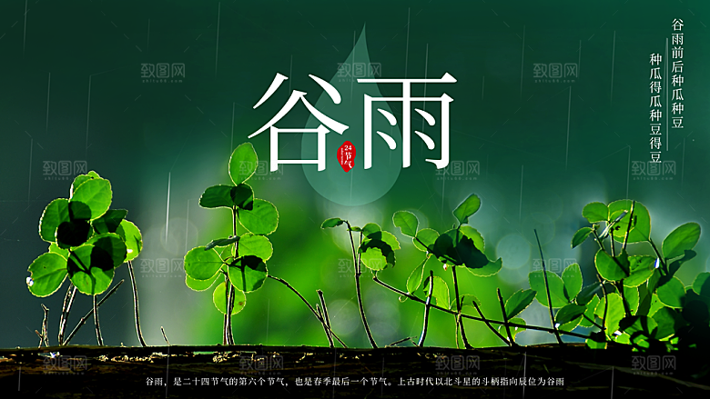 谷雨海报简洁中国传统节气