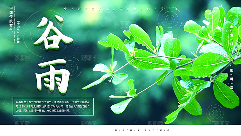 谷雨海报简洁中国传统节气