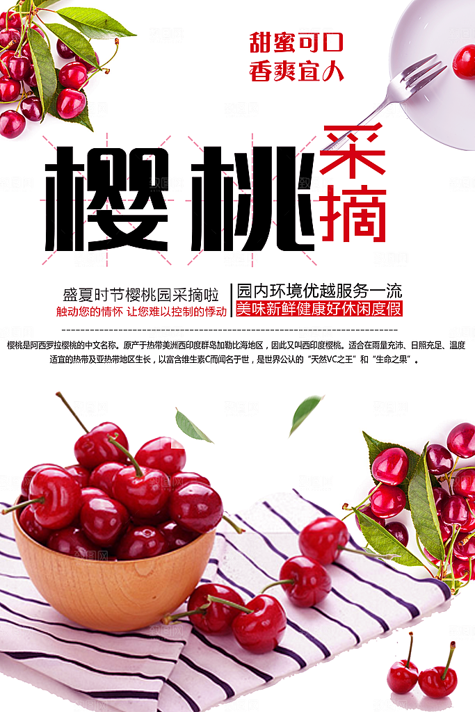 新鲜采摘水果樱桃