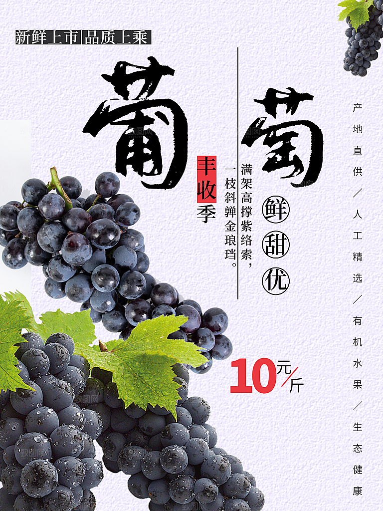 新鲜上市水果葡萄