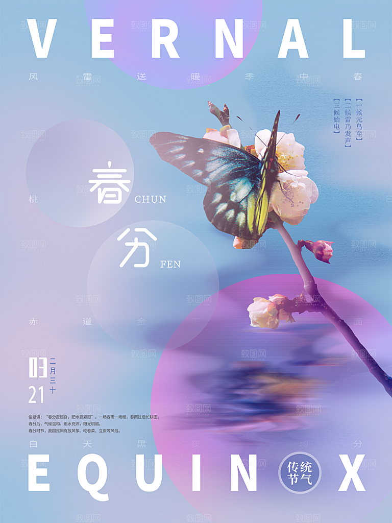 春分节气简约大气海报