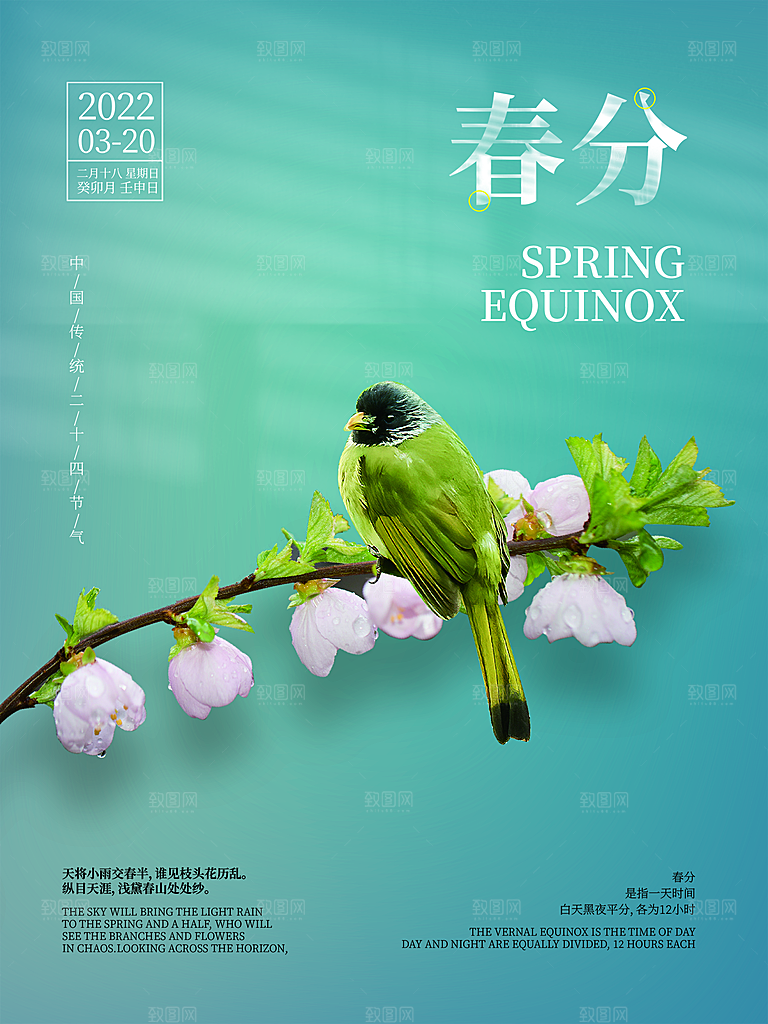 春分节气简约大气海报