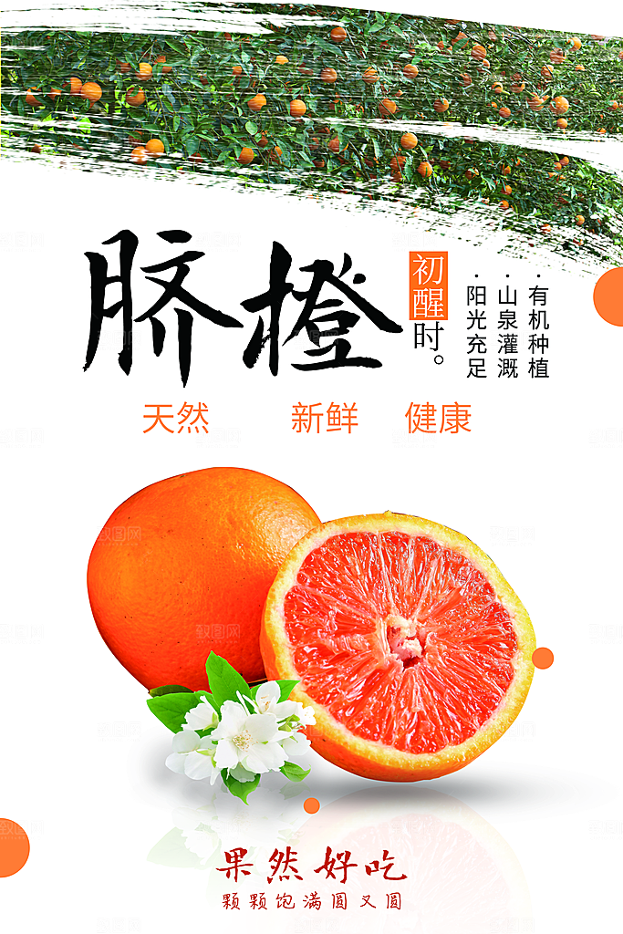 有机种植新鲜脐橙