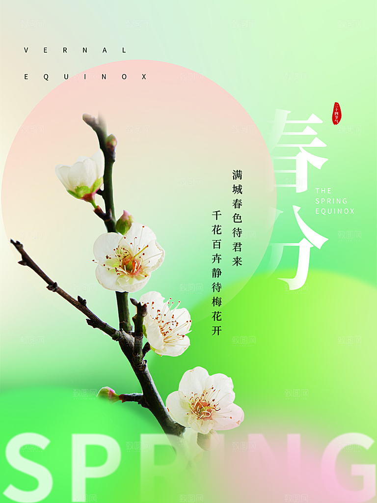 春分节气简约大气海报