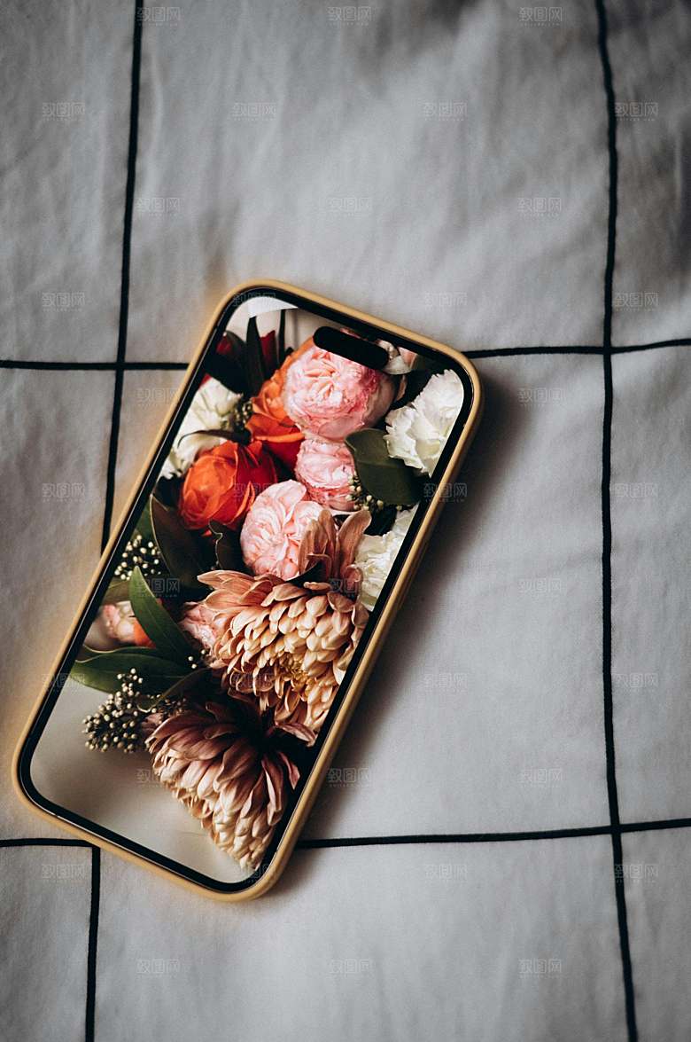 玫瑰花特写鲜花花丛摄影