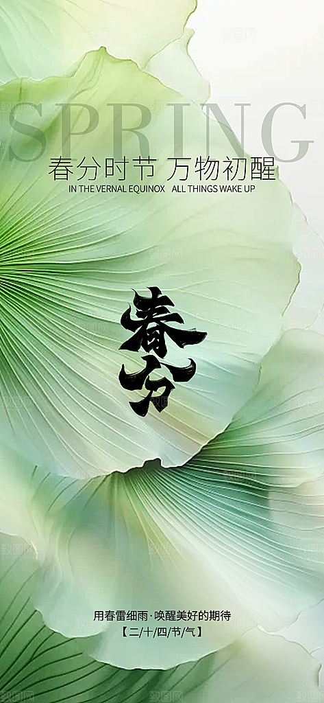 春分节气简约大气海报