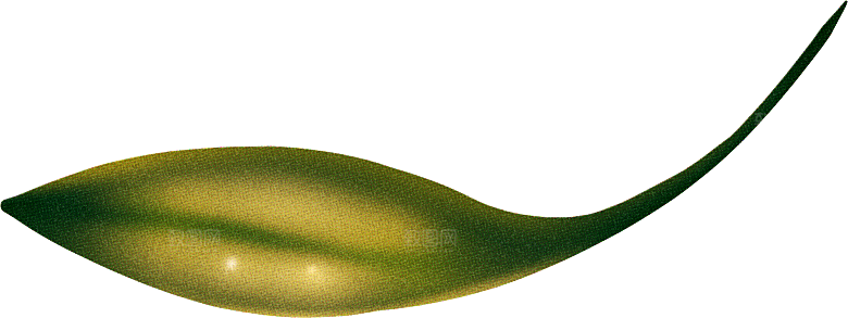 手绘艺术图形炫酷PNG元素