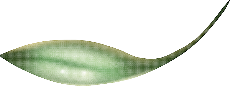 手绘艺术图形炫酷PNG元素