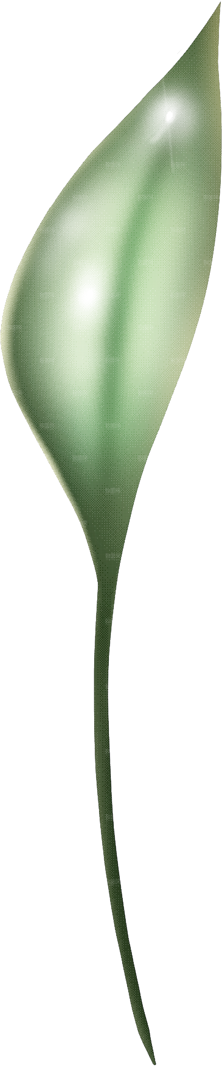 手绘艺术图形炫酷PNG元素